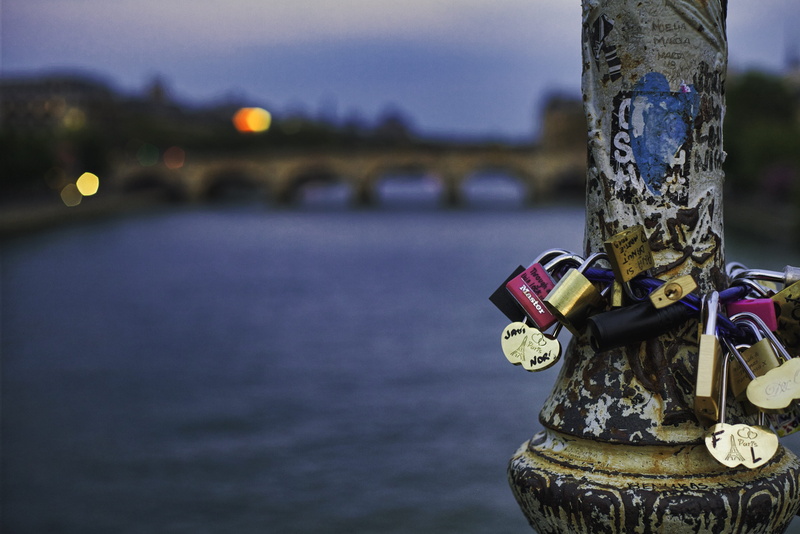 animal, padlock, focus on foreground, protection, love locks, locked, clothing, pont des arts, outdoors, bird, security, metal, seagull, pont, apparel