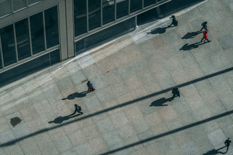 agelaius, day, street, transportation, shadow, apparel, urban, sunlight, downtown, pigeon, tarmac, architecture, flooring, outdoors, blackbird, building