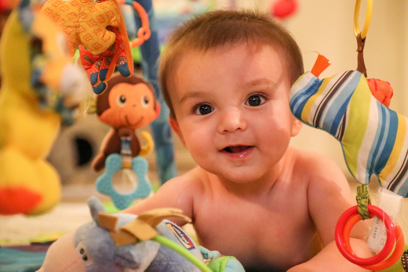 portrait, toy, celebration, son, one person, united states, headshot, infant, smiling, representation, cute baby, child, babies, family, babyhood, focus on foreground