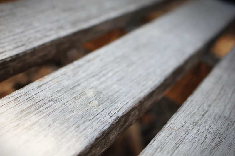 beam, tree, textured, united states, fullerton, wood - material, bench, high angle view, rest, 2K, focus on foreground, three, nature, sit, lumber industry