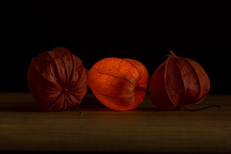lampionblume, leaves, ornamental plant, physalis alkekengi, freshness, illuminated, studio shot, physalis, autumn, wooden, indoors, bladder cherry, wood - material