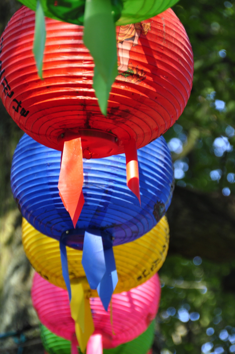 low angle view, sunlight, lighting equipment, color, yellow, day, festival, close-up, celebration, lampion, 4K, outdoors, red, nature, lantern, hanging