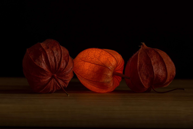 bright, wellbeing, physalis alkekengi, wood - material, bladder cherry, lampion, food, pumpkin, 1080P, lampionblume, orange color, studio shot, vegetable