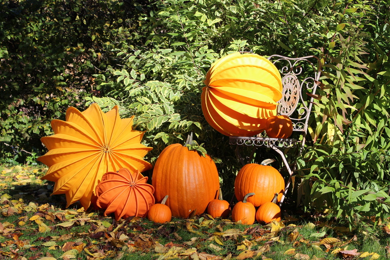 outdoors, pumpkin, field, Autumn, grass, plant, celebration, vegetable, Lampion, orange, food, yellow, nature, day, freshness, 5K, food and drink, halloween
