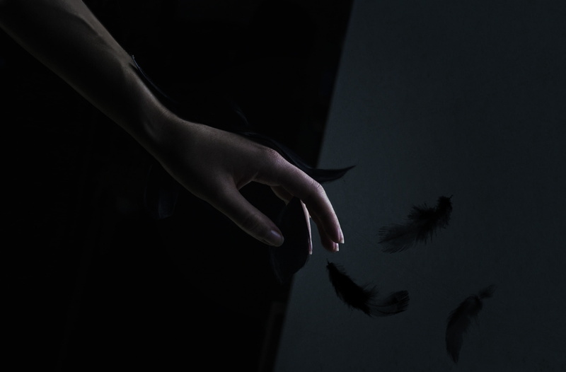holding, night, Feathers, silhouette, unrecognizable person, conceptual, go, let, women, adult, one person, body part, human hand, 2K, human finger, indoors