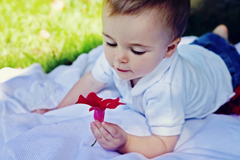 males, happiness, son, innocence, one Person, happy, toddler, cute, polo, boys, smiling, holding, day, lifestyles, playing, white, real people, babyhood