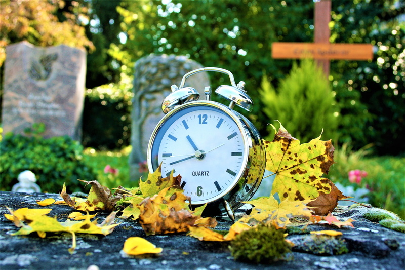 cemetery, not inevitable, clock face, alarm clock, tree, time, leaf, change, flower, no people, plant, plant part, bell, close-up, yellow leaves, vanishing