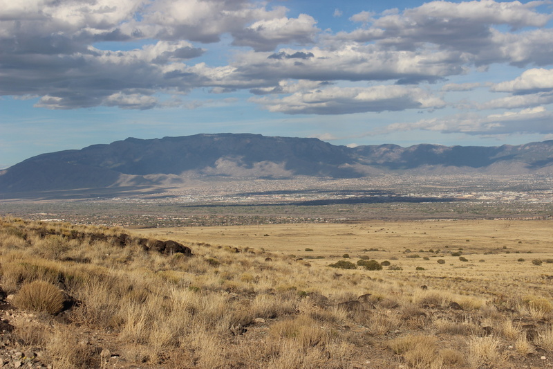 grass, tranquil scene, mountain, albuquerque, landscape, plant, tranquility, environment, beauty in nature, no people, sun, desert, cloud - sky, semi-arid