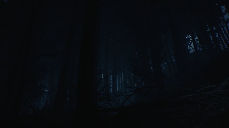 1080P, Video Game Horror, video games, Games posters, Blair Witch
