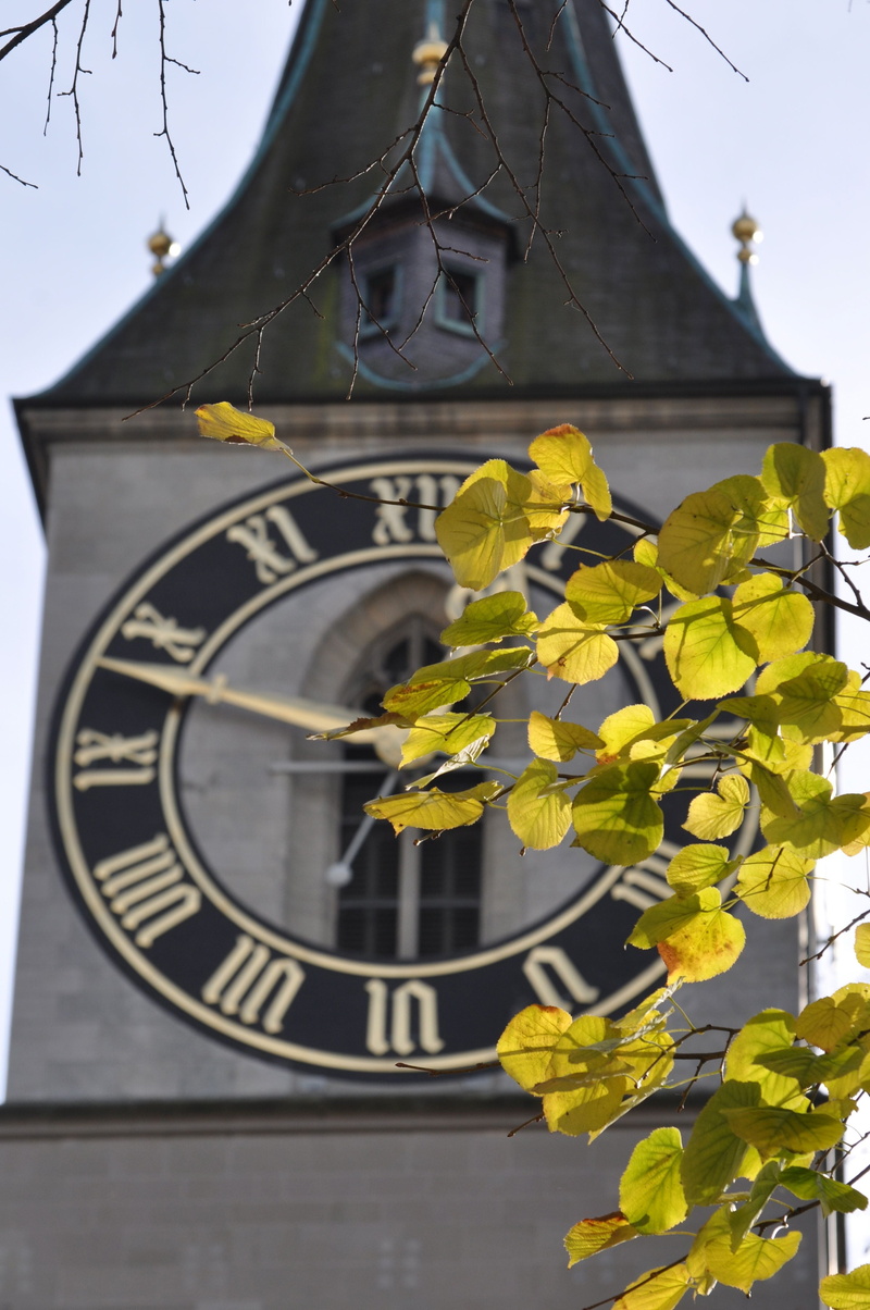4K, sunlight, fragility, minute hand, skyline, building exterior, flower, close-up, clock, architecture, tower, outdoors, ancient, no people, building