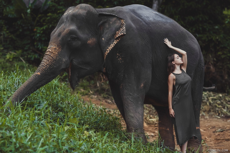 model, Ivan Chinilov, elephant, animals, women outdoors, women, 2K