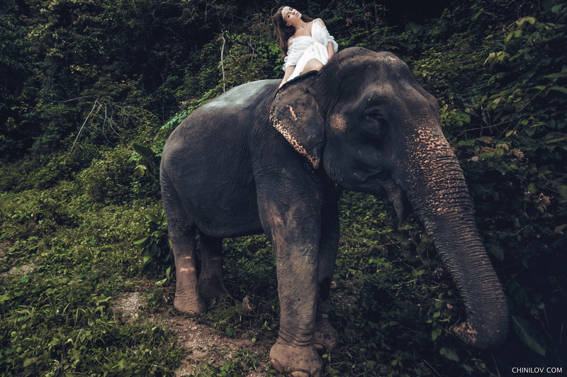 animals, 2K, model, elephant, Ivan Chinilov, women