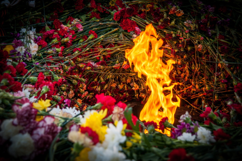 flowers, russia, the eternal flame, st petersburg russia, we remember, victory, flower, vulnerability, no people, victory day, 9maâ, fragility, nature