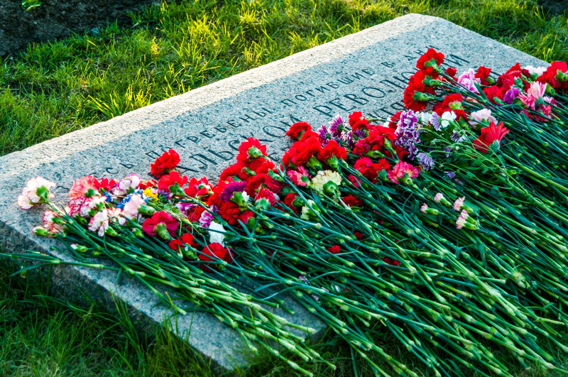 flower arrangement, beauty in nature, flowerbed, growth, victory, outdoors, georges ribbon, monument, vulnerability, land, high angle view, inflorescence