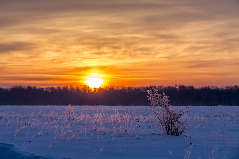tranquil scene, cold temperature, morning, sunrise, beauty in nature, cloud - sky, no people, tranquility, 2K, canada, frost, lake audy, manitoba, snow