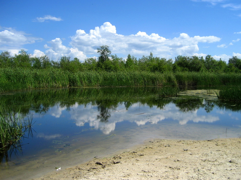 grand beach, swamp, 1080P, river, scenics, lake winnipeg, manitoba, scenics - nature, land, clouds, no people, day, forest, non-urban scene, blue, sky