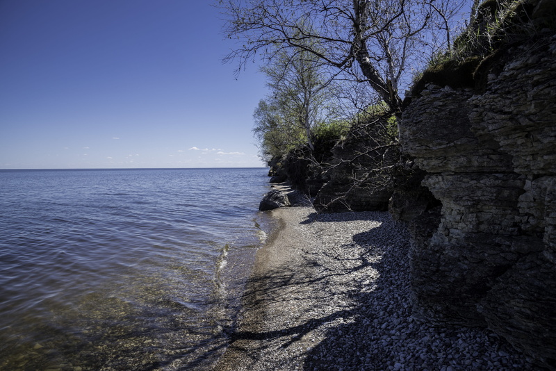 scenics, non-urban scene, canada, color Image, coastline, nature, cliffs, landscapes, beach, horizon over water, outdoors, rock - Object, 5K, plant, tree