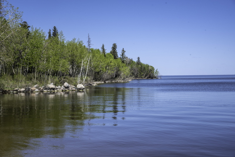 idyllic, trees, Lake Winnipeg, 5K, winnipeg, water, tree, Hecla, clear sky, scenics, manitoba, landscape, tranquility, Scenery, lake, outdoors, tranquil Scene