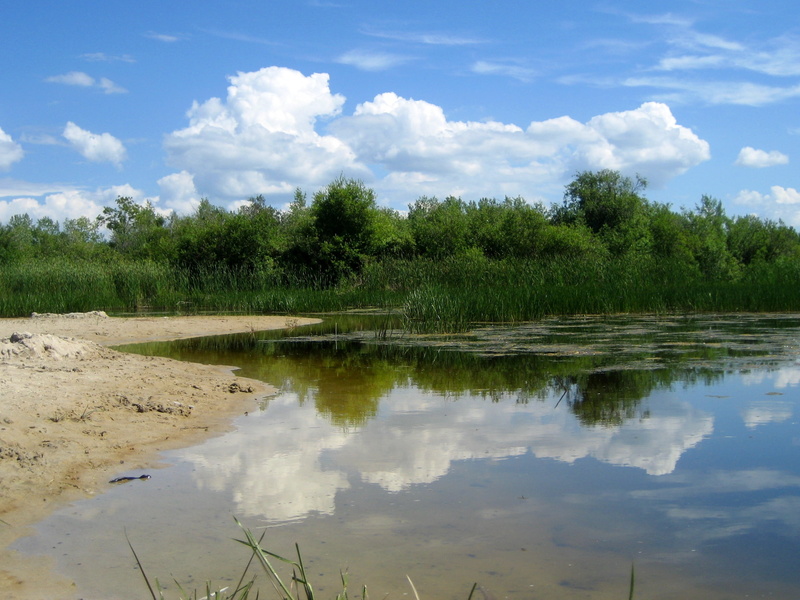 lagoon, scenics - nature, tranquil scene, 1080P, swamp, lake, outdoors, cloud - sky, green color, tranquility, grass, sky, nature, landscape, plant, manitoba