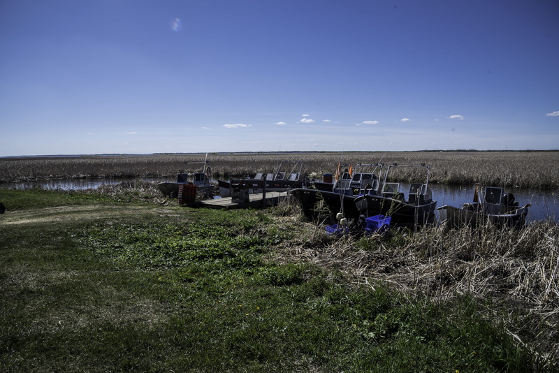 tranquil scene, park, public domain, Boats, Marsh, Hecla, provincial, plant, sky, landscapes, land, wetlands, 5K, outdoors, nature, manitoba, field, tranquility
