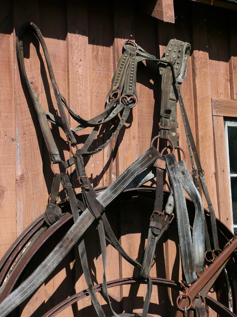 weapon, the past, livestock harness, wood - material, canada, nature, metal, outdoors, history, damaged, sunlight, building exterior, built structure, rusty