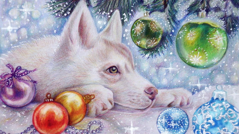 celebration, art, wildlife, close-up, christmas decoration, dog breed, mammal, food and drink, dog, watercolor paint, vertebrate, 1080P, directly above