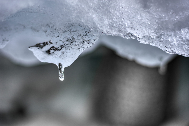 glacier, ice, cold temperature, purity, mountain, iceberg, basin, splashing, flowing water, environment, reptile, beauty in nature, close-up, melting, hail