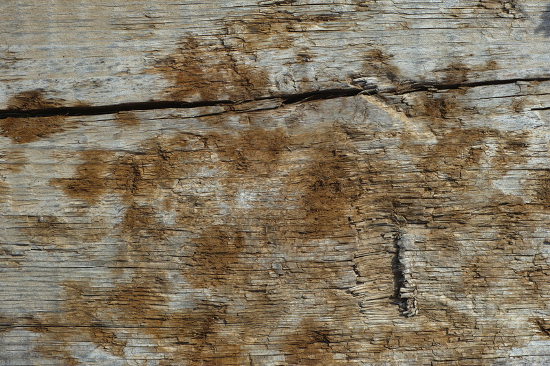 textile, colored background, textured, flooring, no one, worn, day, table, wood, close-up, wood grain, rear, textured effect, weathered, old, plank, flat