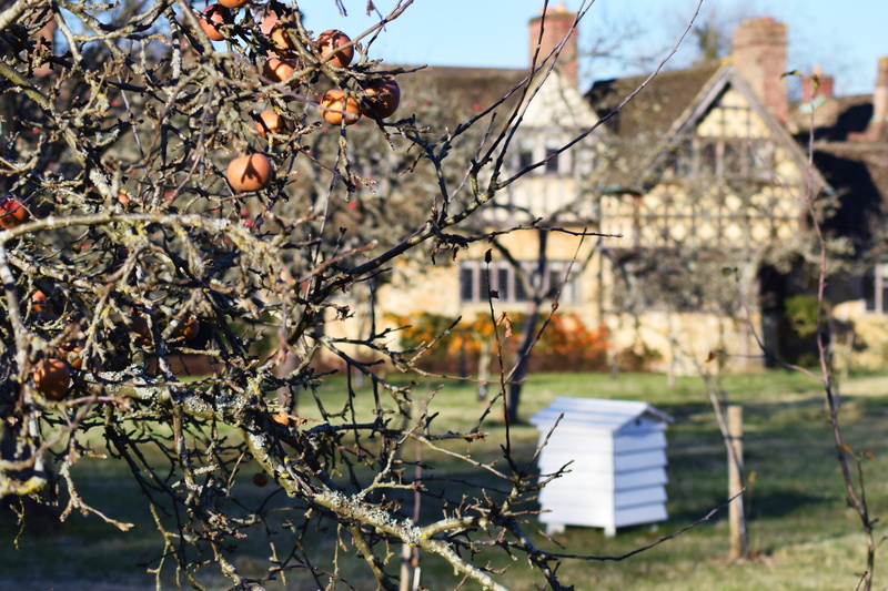 outdoors, nature, united kingdom, apples, field, beehive, building exterior, architecture, day, focus on foreground, hever castle, tree, fruit, countryside