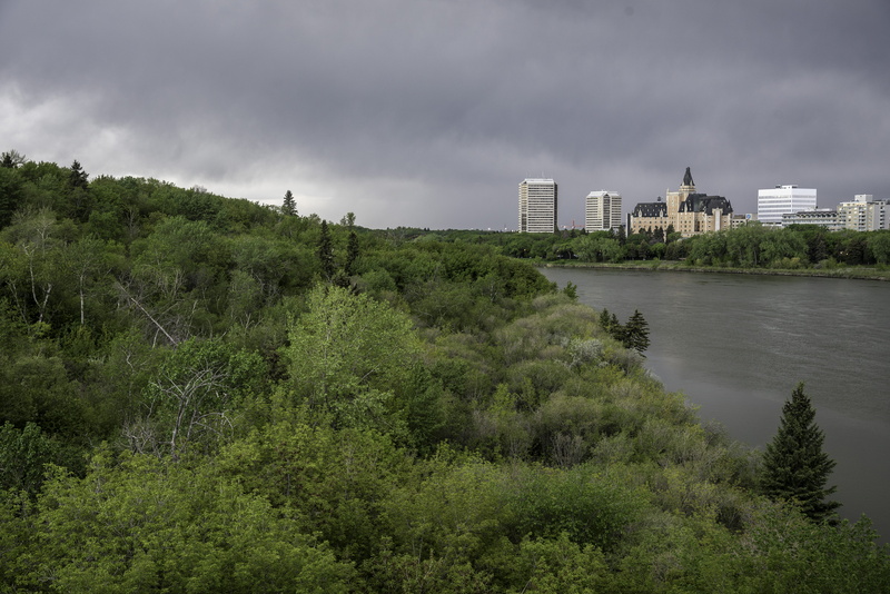 skyscraper, overcast, built structure, clouds, nature, skyline, dark, trees, office building exterior, tree, sky, growth, Dark Skies, building, Saskatoon