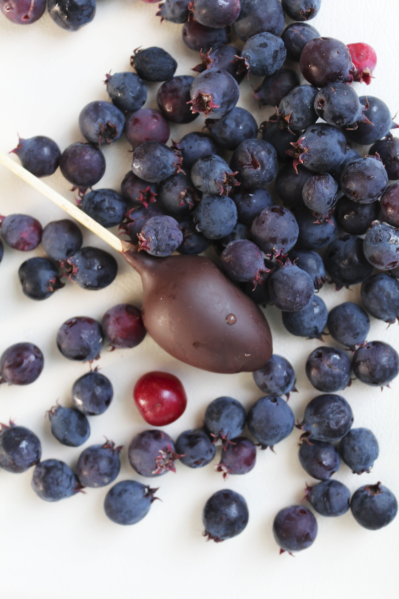 high angle view, close-up, purple, grape, 5K, health, food, freshness, still life, sweet, candy, blueberry, cherry, summer, blackberry, calories, table