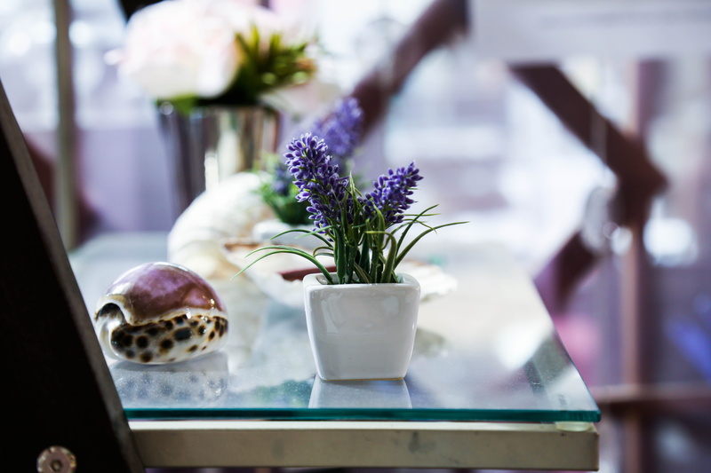 window, canada, purple flower, flower head, beauty in nature, transparent, focus on foreground, saskatoon farmers market, 5K, no people, nature, flower