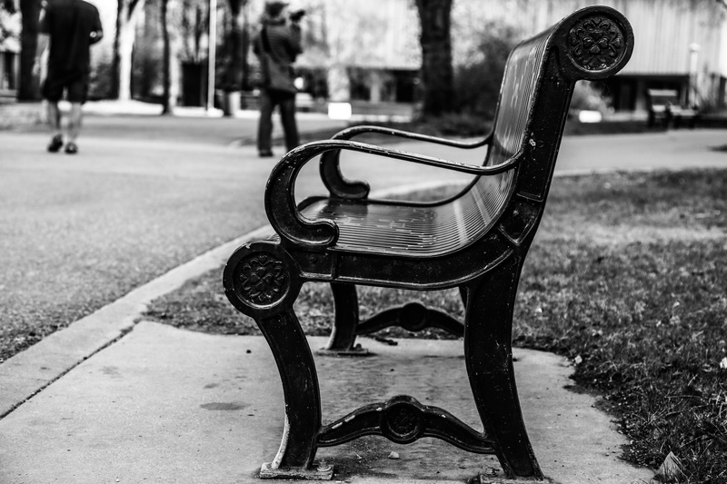 incidental people, park bench, street, focus on foreground, city, day, seat, transportation, metal, footpath, nature, canada, absence, saskatoon, park - man made space