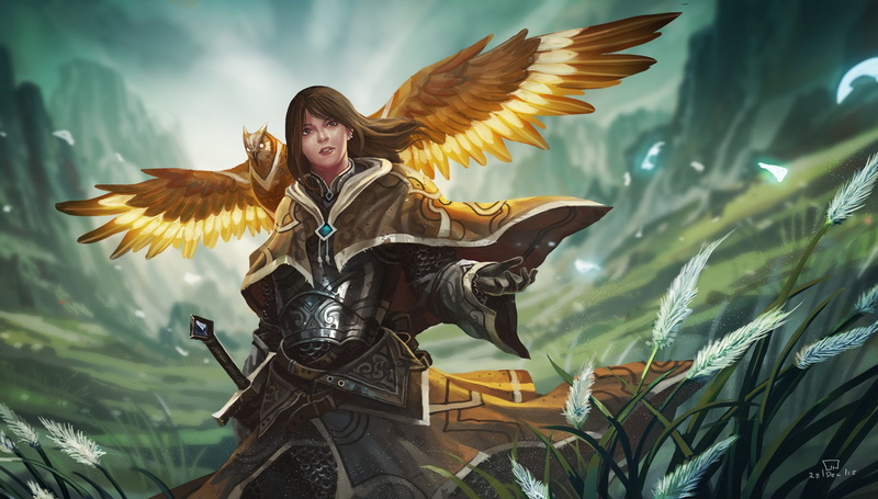Woman Warrior, Armor, Women Warrior, 1080P, Magic, Bird, Girl, Owl, Fantasy