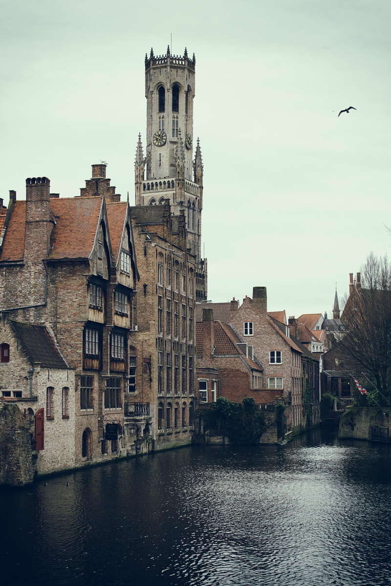 religion, nature, belfry tower, town, Bruges, city, high, river, architecture, residential district, built structure, building, travel destinations, water