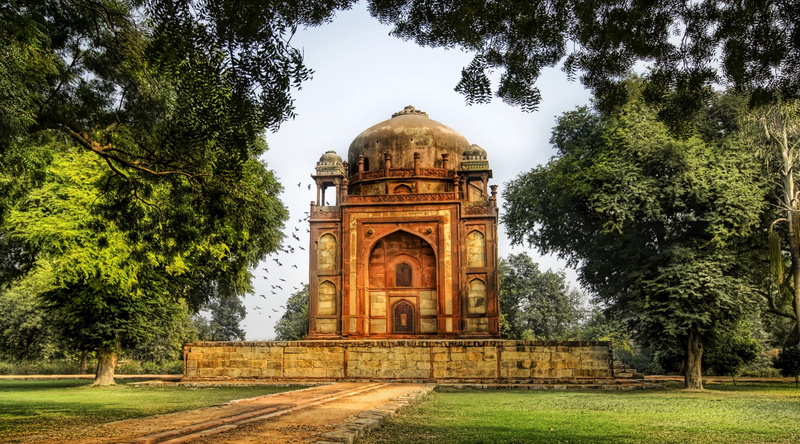 Asia, grass, tourism, arch, tree, dome, Belfry, growth, nature, baths, India, Construction, brown, delhi, no people, outdoors, 4K, ancient, gothic, day