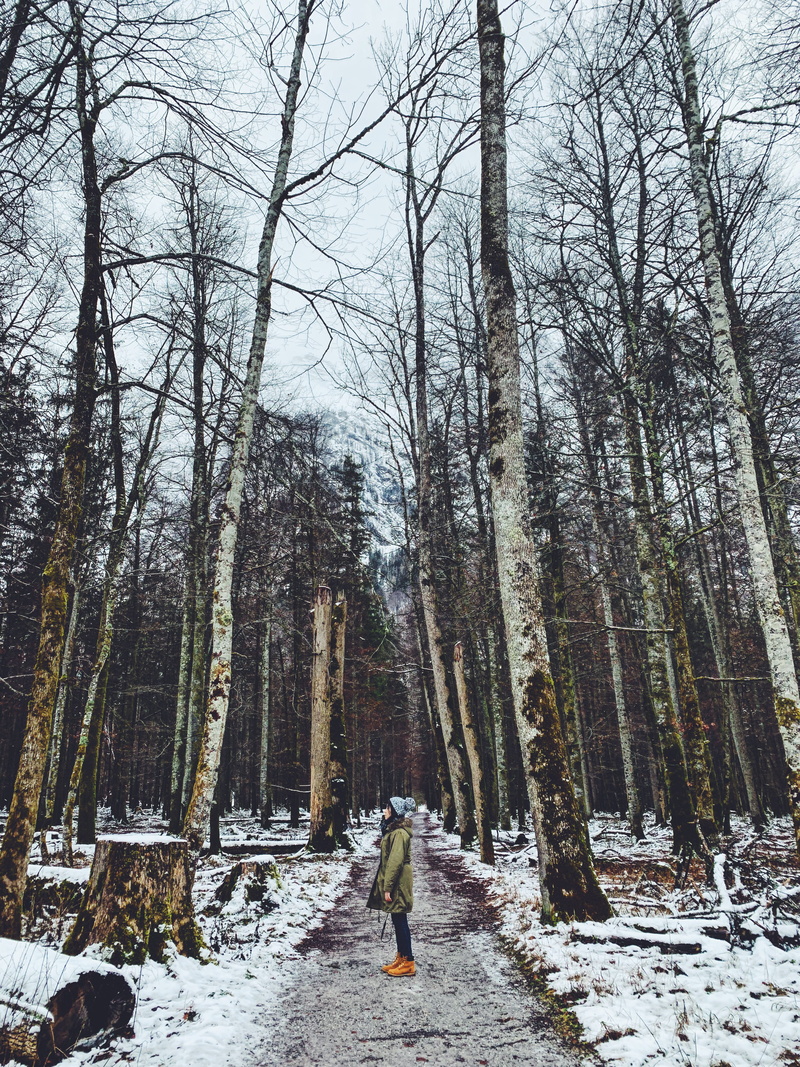 conifer, bare tree, beauty in nature, full length, real people, plant, tree trunk, lifestyles, woods, nature, light, land, person, 4K, walking, schönau am königssee