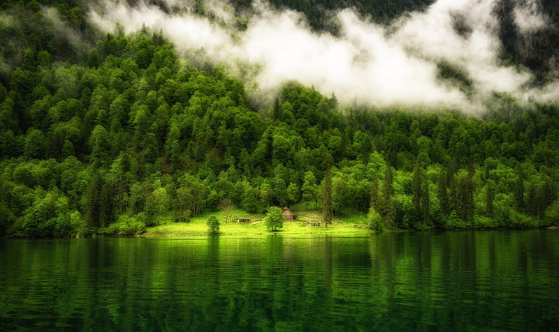 day, lake, beauty in nature, mountains, 1080P, forest, coniferous tree, reflection, Germany, foliage, trees, plant, waterfront, nature, idyllic, tranquility