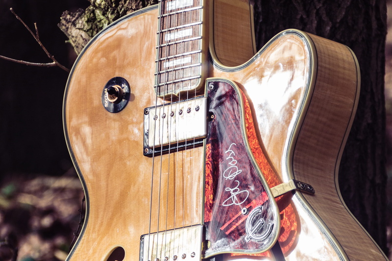 musical equipment, arts culture and entertainment, joe pass, epiphone, focus on foreground, brown, acoustic guitar, musical instrument, violin, music instrument