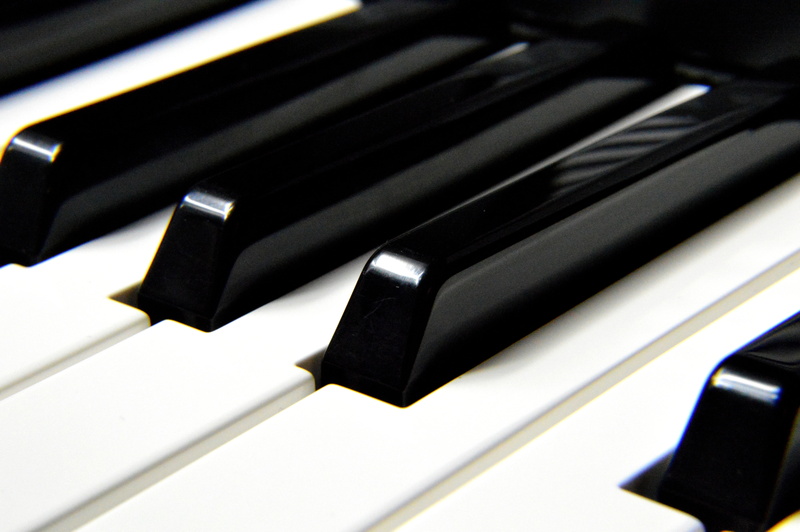 sound, macro, musical equipment, music, classical Music, no people, white color, in a row, white, instrument, close-up, high angle view, arts culture and entertainment