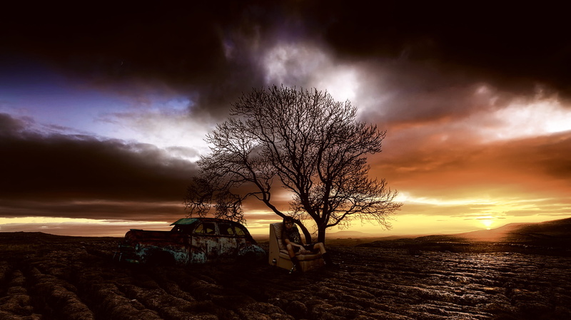 one tree, bare tree, panorama, plant, dusk, homelessness, field, sunset, environment, old car, no people, jobless, sky, outdoors, tree, homeless, poor