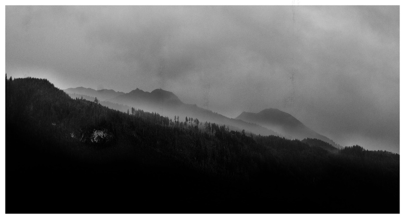 tranquil scene, forest, woodland, rainy, fog, plant, scenics - nature, coniferous tree, land, landscape, nature, austria, 5K, tree, no people, gray, nikond800