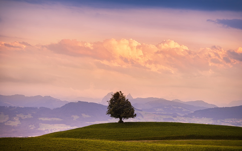 sky, 4K, trees, salmon, nikonaf‑snikkor70‑200mmf/2.8gedvrii, switzerland, landscape, photography, clouds, nature, nikon, blue, lone, nikond800, companion