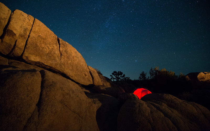 astronomy, space, star, california, joshua, tree, outdoors, photography, night, constellation, galaxy, darkblue, themilkyway, joshuatreenationalpark, brown