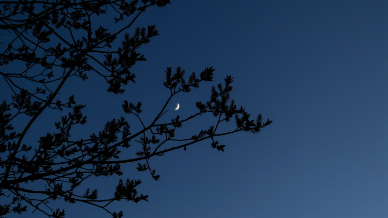 black, outdoor, beauty in nature, space, low angle view, canmore, canada, moonlight, moon, darkblue, high, background, dark, nature, tranquility