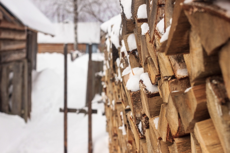 living nature, cellar, Dacha, bath, outdoors, environment, wood - material, white color, wood, no people, tree, firewood, snow, day, log, architecture