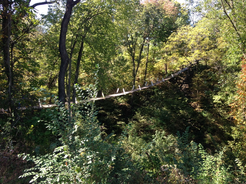 direction, forest, lush foliage, bridge, tree, swinging bridge, iowa, growth, land, bridge - man made structure, the way forward, 2K, country bridge, tranquil scene