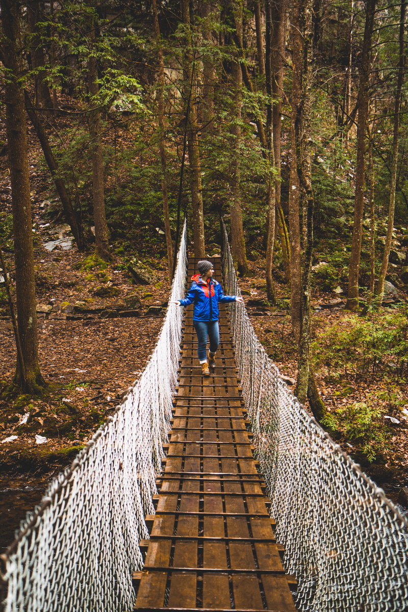 sequatchie, 5K, tennessee, day, brown, land, leisure activity, suspension bridge, crossing, rope bridge, connection, tree, outdoors, tn, direction, rain
