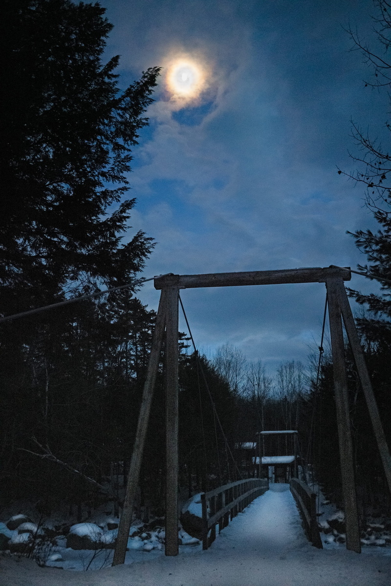 snow, built structure, nature, jungle gym, cold temperature, tree, play area, scenics - nature, bridge, leisure activities, beauty in nature, forest, universe