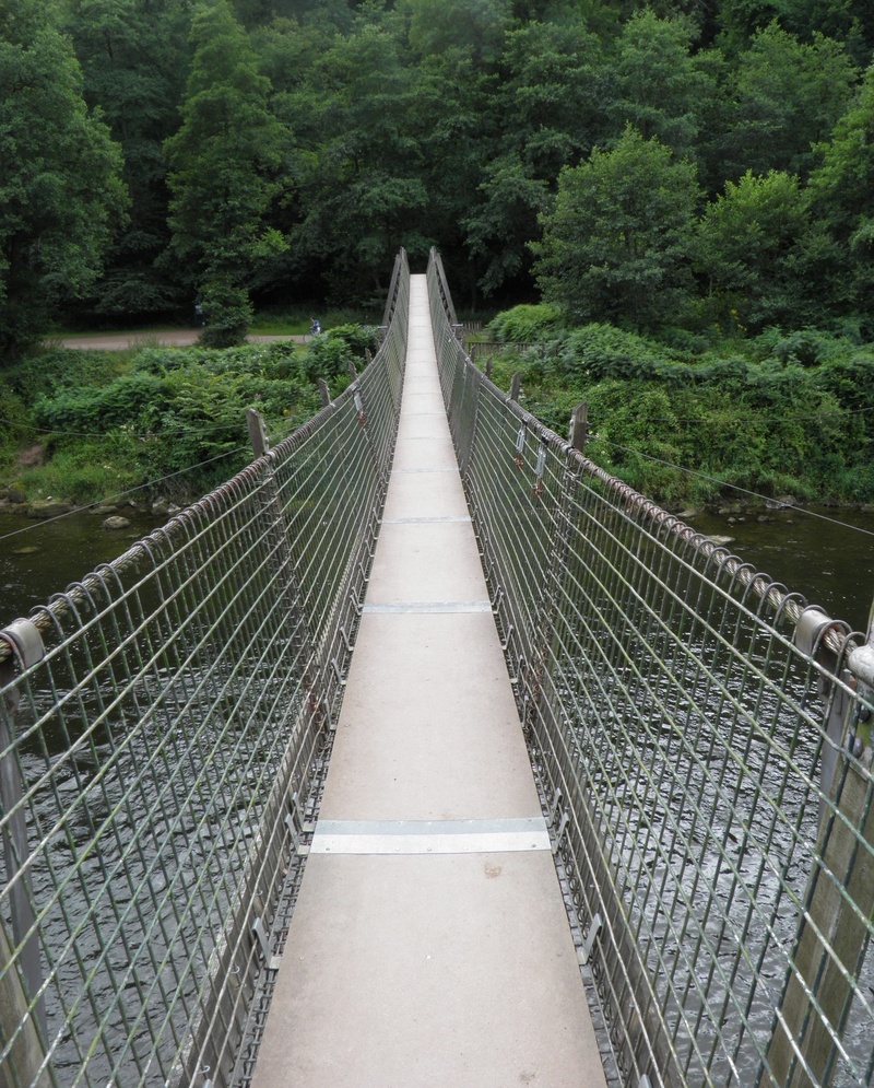 river, footbridge, architecture, growth, swing bridge, diminishing perspective, green color, built structure, walkway, day, tree, bridge, adventure, long